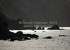 IMG_2182.jpg