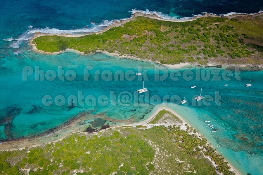 IMG 0981