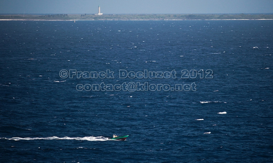 IMG 8860-1