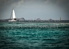 IMG_0660.jpg