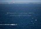 IMG_8860-1.jpg