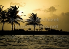 IMG_9745.jpg