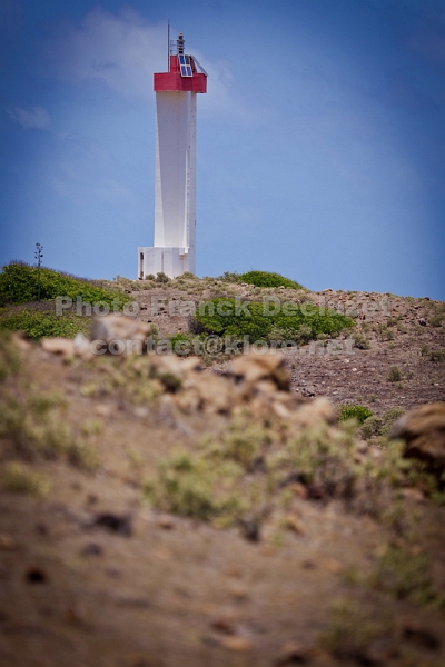 IMG 0470