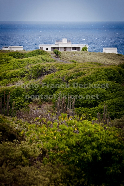 IMG 0598