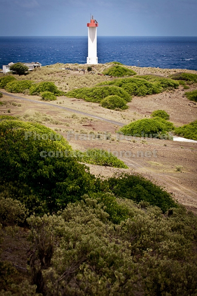 IMG 0603