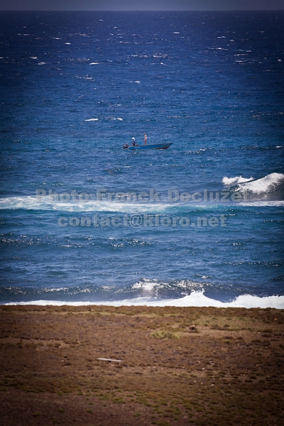 IMG 0434