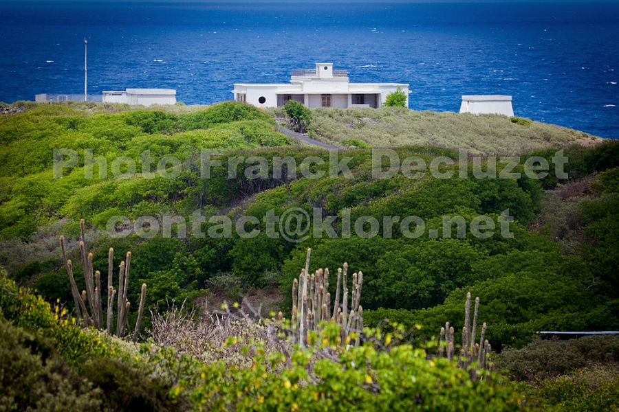 IMG 0586