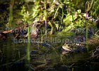 IMG_1907.jpg