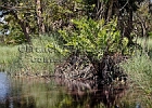 IMG_3500.jpg