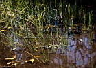 IMG_3504.jpg