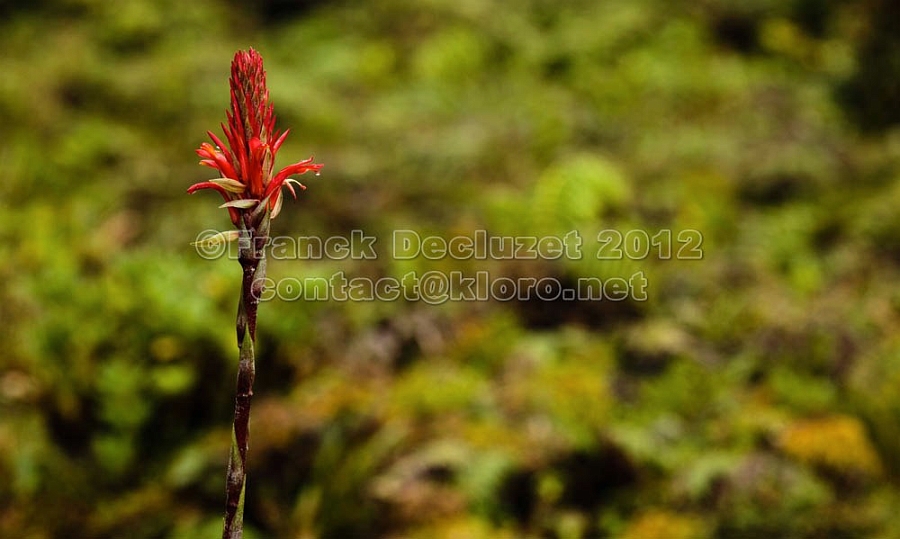 IMG_0719-001