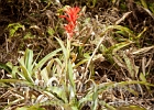 IMG_5712.jpg