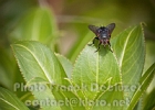 IMG_5753.jpg