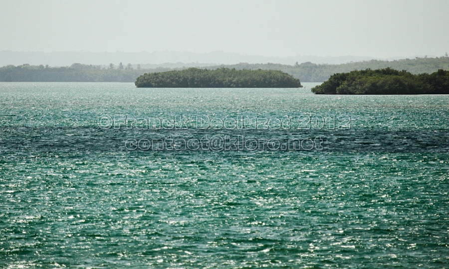 IMG 9676-1