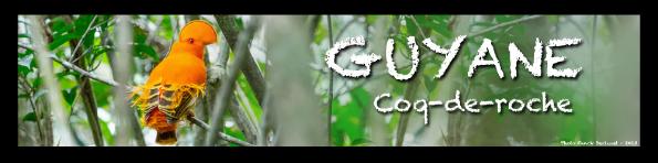 GUYANEFD2013